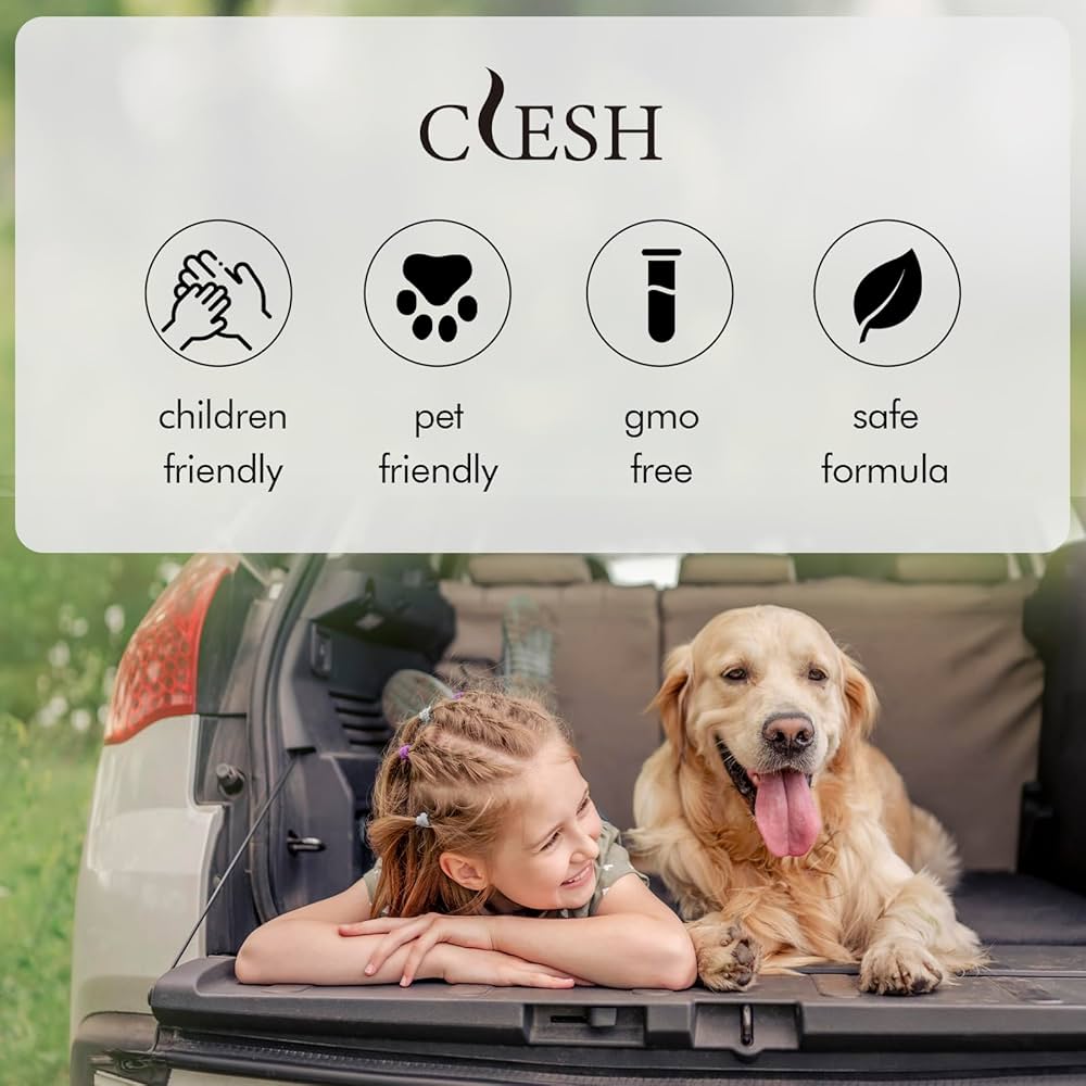 Clesh Air Car