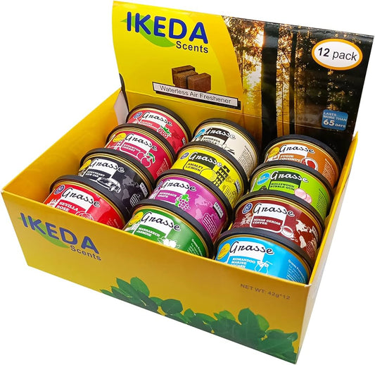 Ikeda Air Freshener